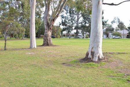 Botanic Grove Reserve