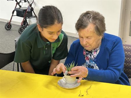 Students from Thorndon Park Primary school making succulent teacups with residents of Resthaven Paradise.