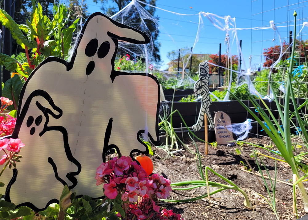 Halloween decorations at Athelstone Community Garden