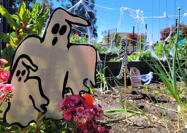 Halloween decorations at Athelstone Community Garden