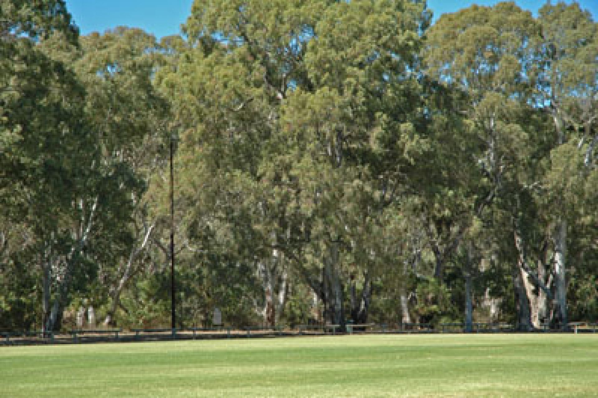 Foxfield Oval Reserve