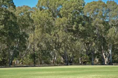 Foxfield Oval Reserve
