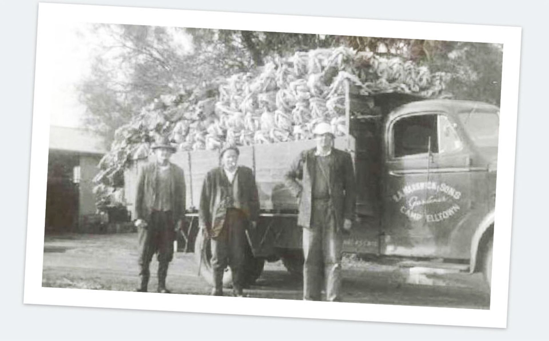 the-early-days-1