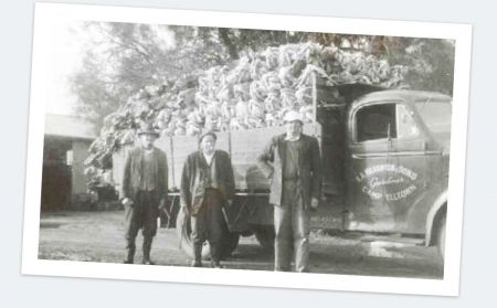 the-early-days-1