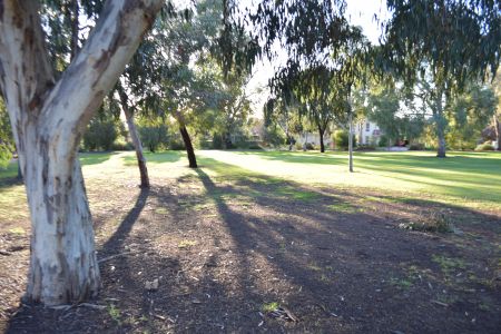 Henry Martin Reserve