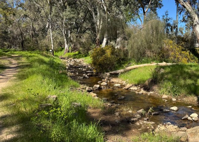 Fifth Creek