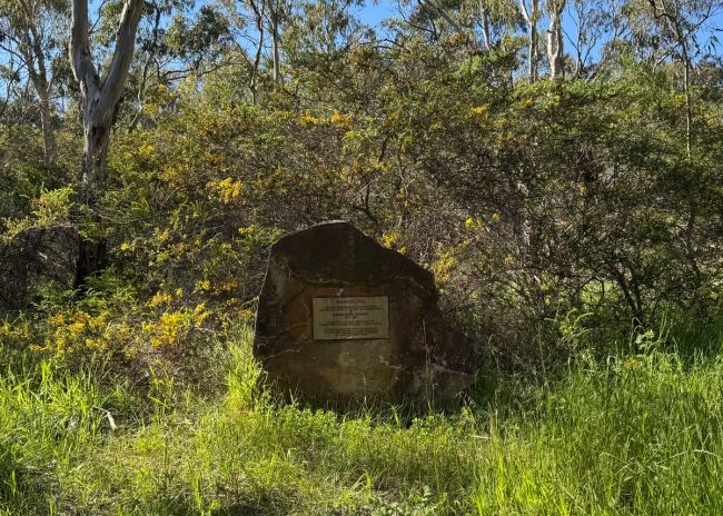 Wadmore Park - Pulyonna Wirra rock plaque