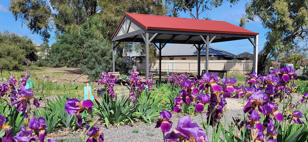 Campbelltown Community Orchard