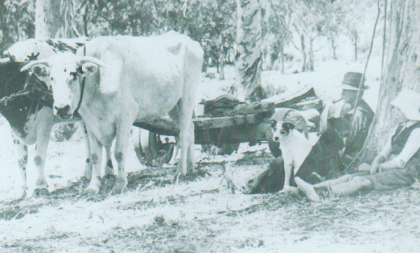 Chummy Austin and his son, circa 1930.