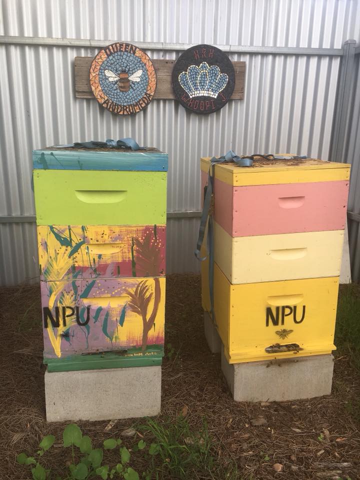 Two beehives painted in bright colours at the Athelstone Community Garden