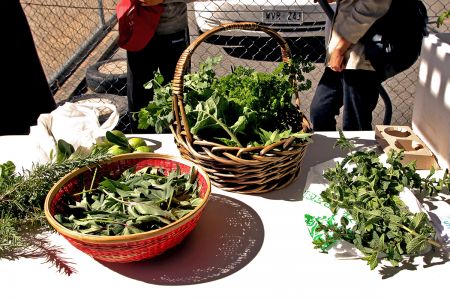 Produce Swap Herbs
