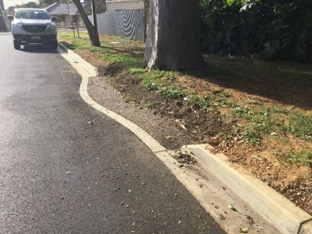 A permeable flat kerb that allows water to reach street trees.
