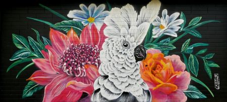 Nightingale Reserve Mural